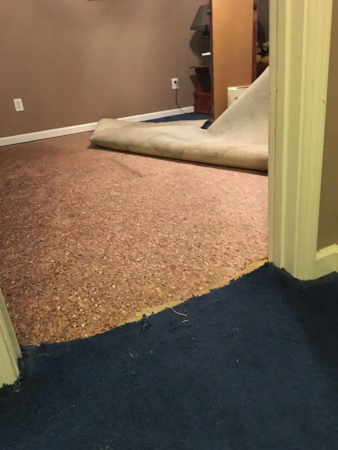 Carpet pad removal revealing water damage during Water Mitigation Services in Rock Island