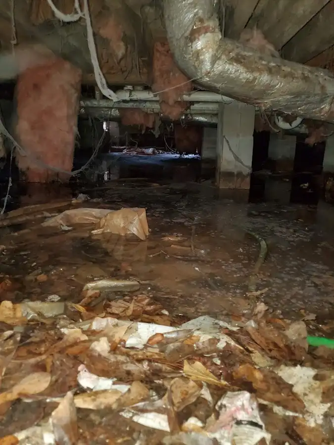 Crawl space flood assessment for Commercial Water Damage Restoration in Rock Island
